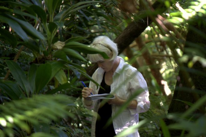 me working in the forest