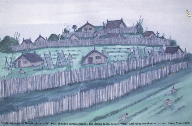 Rangikapiti pa drawing