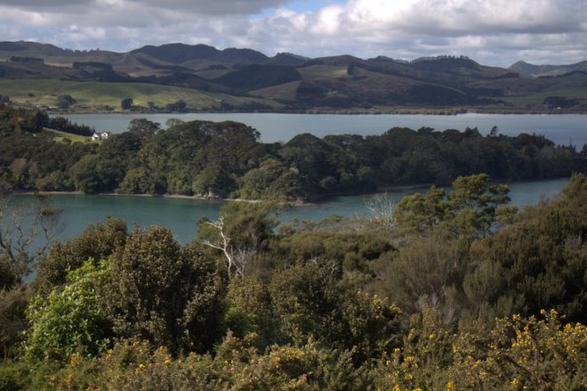 new zealand landscape