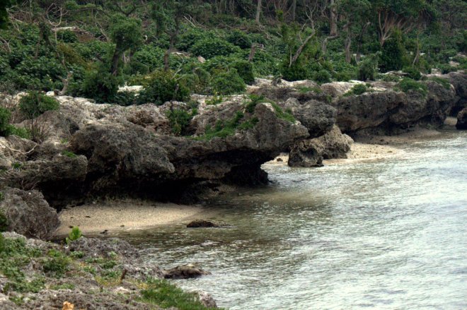 Tongan coast